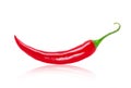 Rrefined fresh chili pepper closeup isolated on white background Royalty Free Stock Photo