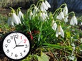 Daylight Saving Time DST. Blue sky with white clouds and clock. Turn time forward +1h Royalty Free Stock Photo