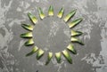 Rround frame made of pineapple leaves on concrete background. Fresh green leaves collection.