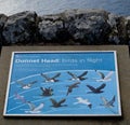 RSPB Dunnet Head Birds in Flight information sign