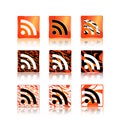 Rss icons set with animal skin pattern Royalty Free Stock Photo