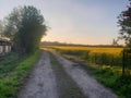 Rual german dirt road with a view of a rapeseed field during a summer evenining sunset