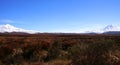 Ruapehu and Ngaurahoe