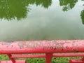 Ruaty Fence at Taiping Lake Garden