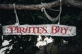 Ruaty sign with text PIRATES BAY hanging from wooden branch in the forest