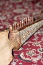 Rubab Royalty Free Stock Photo