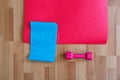 Rubber Band and Pink Dumbbell with Red Pilates Mat on Wood Royalty Free Stock Photo