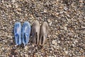 Rubber blue women`s and grey men`s slippers for swimming on a pebble beach Royalty Free Stock Photo