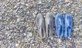Rubber blue women's and grey men's slippers for swimming on a pebble beach Royalty Free Stock Photo