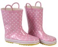 Rubber boots. Royalty Free Stock Photo