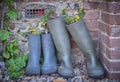 Rubber boots being used as garden planters against a brick wall