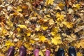 Rubber boots of a family in autumn