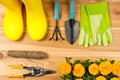 rubber boots, flowers and gardening tools top view gardening Royalty Free Stock Photo