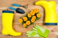 rubber boots, flowers and gardening tools top view gardening Royalty Free Stock Photo