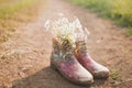 Rubber boots Royalty Free Stock Photo