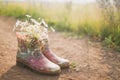 Rubber boots Royalty Free Stock Photo