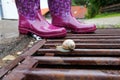 Rubber boots are ideal for rainy weather Royalty Free Stock Photo
