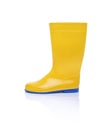 Rubber boots isolate. Royalty Free Stock Photo