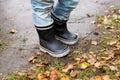 Rubber boots and leafs. Autumn, fall. Children Royalty Free Stock Photo