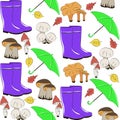 Rubber boots Mushrooms Umbrella isolated on white background. Fall illustration. Seamless pattern. Autumn nature symbol