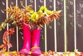 Rubber boots (rainboots) and autumnal leaves are on the wooden fence background with drawing rain drops.