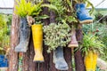 Rubber boots reused with plants hanging on the tree Royalty Free Stock Photo