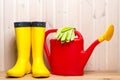 rubber boots, watering can and gardening gloves in spring objects on wooden Royalty Free Stock Photo