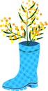 Rubber boots Wellies blue checkered Wellington boots and mimosa flower vector