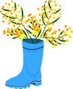 Rubber boots Wellies blue Wellington boots and mimosa flower vector