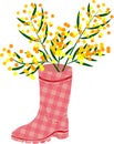 Rubber boots Wellies red checkered Wellington boots and mimosa flower vector