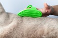 Rubber cat grooming brush for shedding. Perfect tool for pet fur care and grooming. Keep your cat clean and tidy