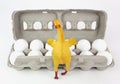 Rubber Chicken with Eggs Royalty Free Stock Photo
