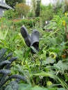 Rubber clogs hanging in the community garden Royalty Free Stock Photo