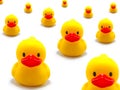 Rubber Duck Royalty Free Stock Photo