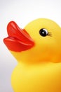 Rubber Duck