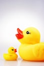 Rubber Duck Royalty Free Stock Photo