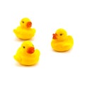 Rubber duck Royalty Free Stock Photo