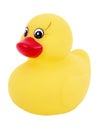 Rubber Duck Royalty Free Stock Photo