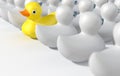 Rubber Duck Against The Flow Royalty Free Stock Photo