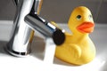 Rubber duck in the bathroom Royalty Free Stock Photo