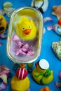 Rubber duck in the bathtub, colorful background with shells, rose petals and other rubber ducks, rubber ducks