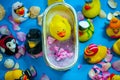 Rubber duck in the bathtub, colorful background with shells, rose petals and other rubber ducks, rubber ducks