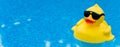 Rubber Duck on Blue Royalty Free Stock Photo
