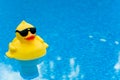 Rubber Duck on Blue Royalty Free Stock Photo