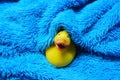 Rubber duck in a blue towel Royalty Free Stock Photo