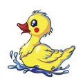 Rubber Duck Cartoon Character Royalty Free Stock Photo