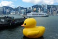 Rubber Duck and Cruise ship