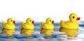 Rubber Duck Family