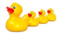 Rubber duck family, 3D rendering Royalty Free Stock Photo