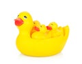 Rubber duck family Royalty Free Stock Photo